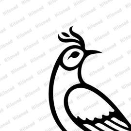  The bird and the cypress tree